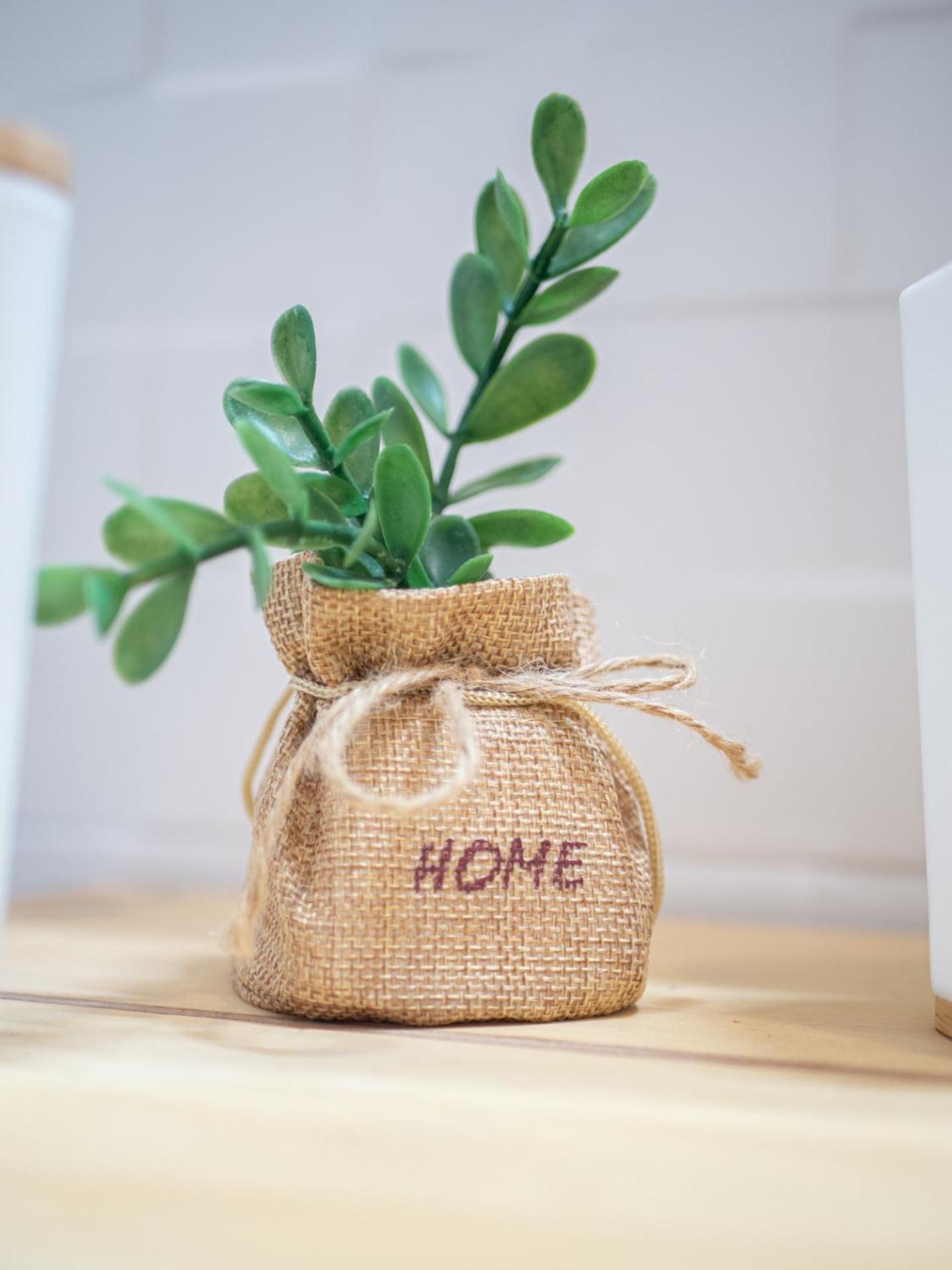 Apartment Boho House, Albufeira